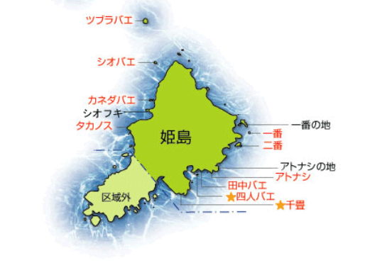 ２０２１年 高知県鵜来島 渡船磯割表 フィッシング高知