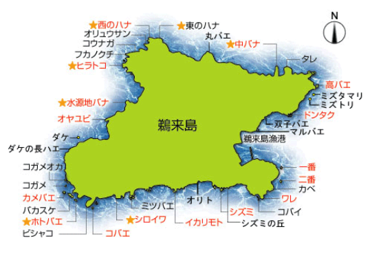 ２０２１年 高知県鵜来島 渡船磯割表 フィッシング高知