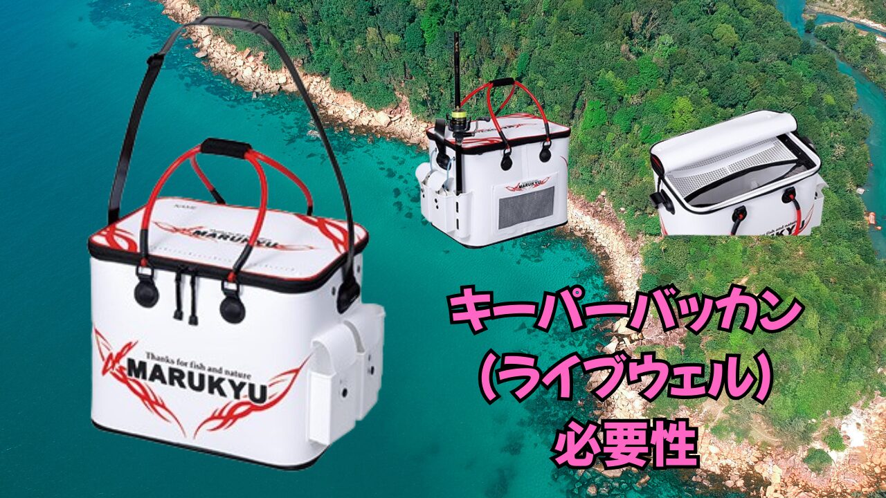 釣りでキーパーバッカンは本当に必要 メッシュスカリとエアーポンプの重要性も解説